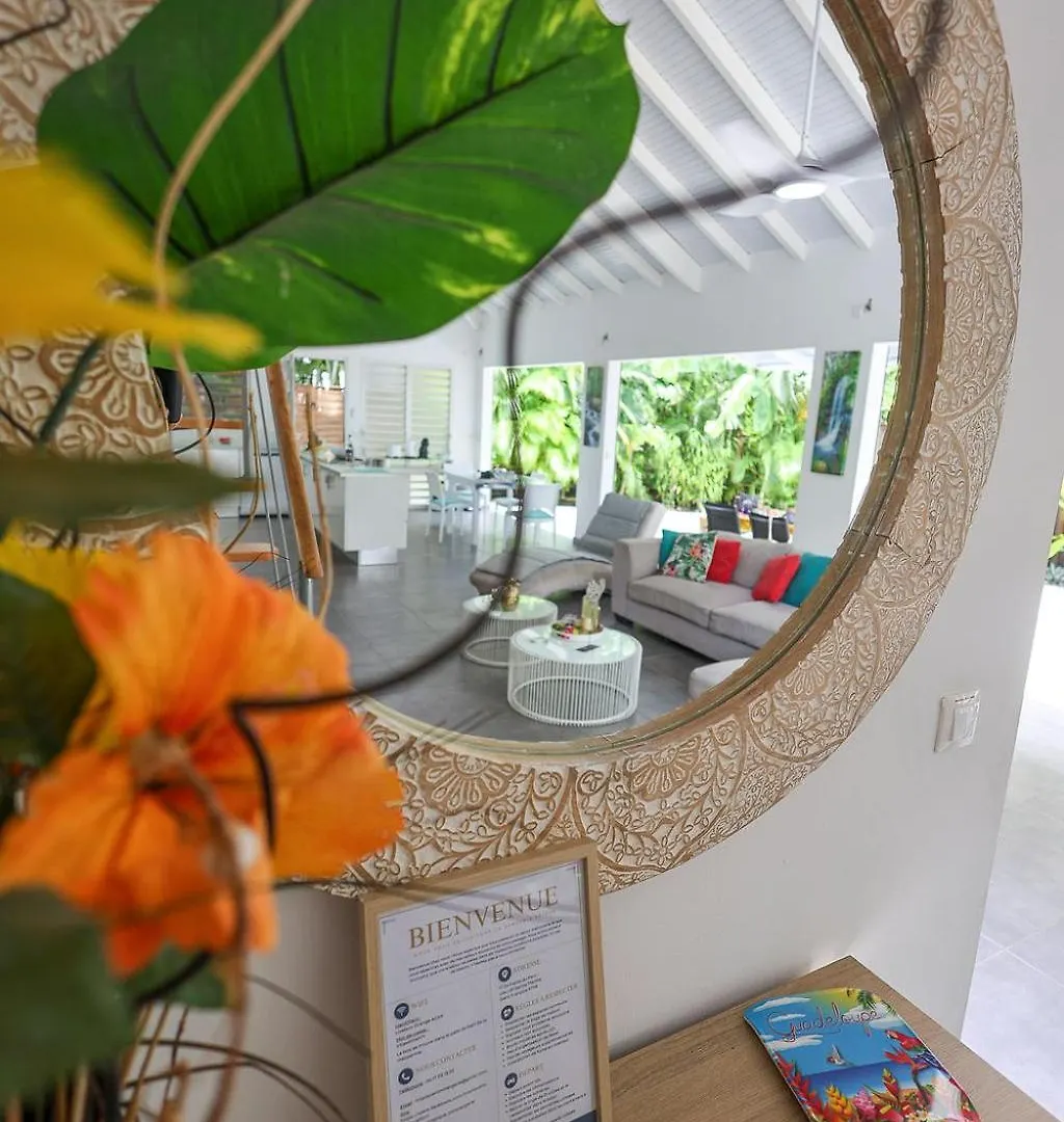 Villa 5 Etoiles Piscine A Debordement Acces Pmr 圣弗朗索瓦 0*,